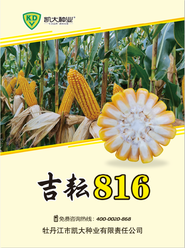 吉耘816